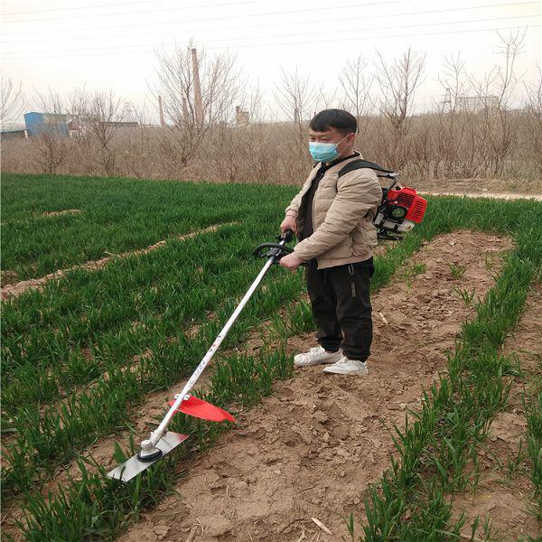 肩背式割草機果園割草有什么好處